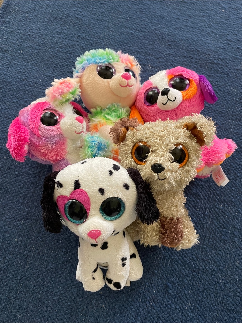 Ty Plush Puppy Set in Pink, Rainbow, White, Black, Brown